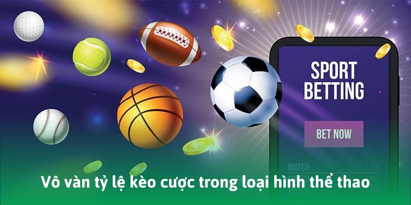 Vô vàn tỷ lệ kèo cược trong loại hình thể thao D79bet